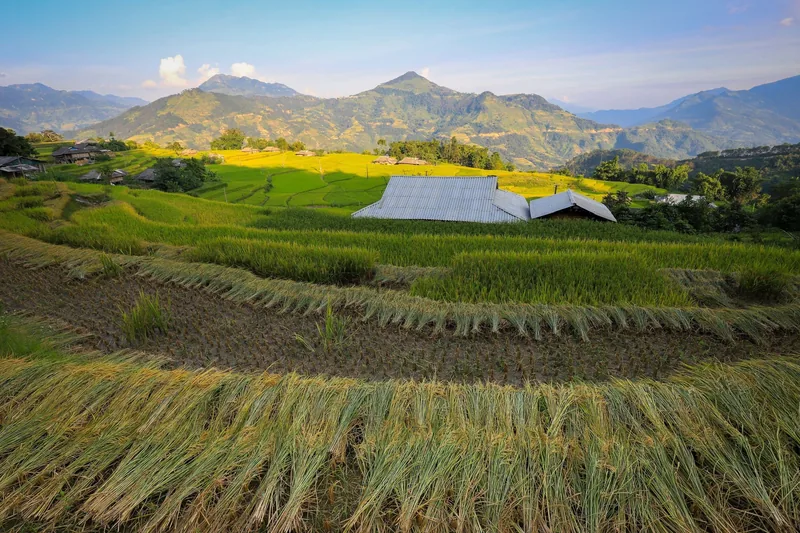 Terraced rice fields with a tin-roofed house sit beneath layered mountains in Ha Giang.