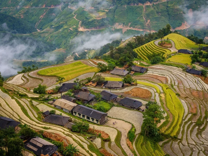 Aerial view of a mountain village surrounded by golden rice terraces and mist in Ha Giang.