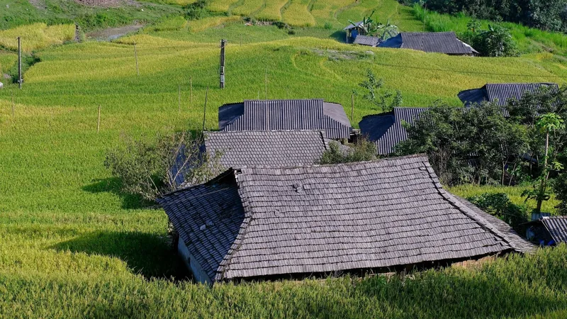 Wooden-roofed houses nestled among lush green rice terraces in the highlands of Ha Giang.