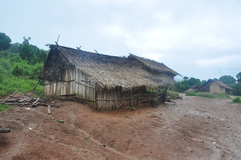 A traditional bamboo and thatch stilt house stands in a muddy village clearing near Luang Namtha, Laos.