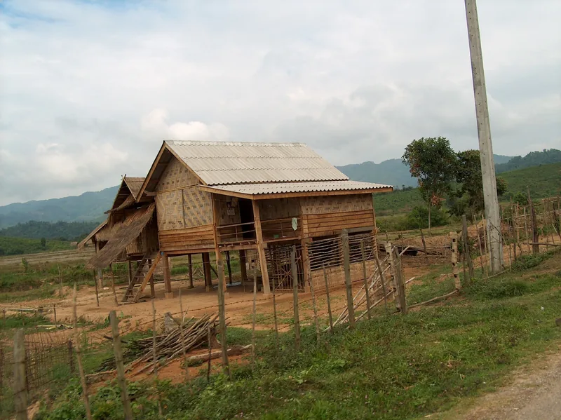 A traditional wooden stilt house with a tin roof stands beside rice fields in rural Luang Namtha, Laos.