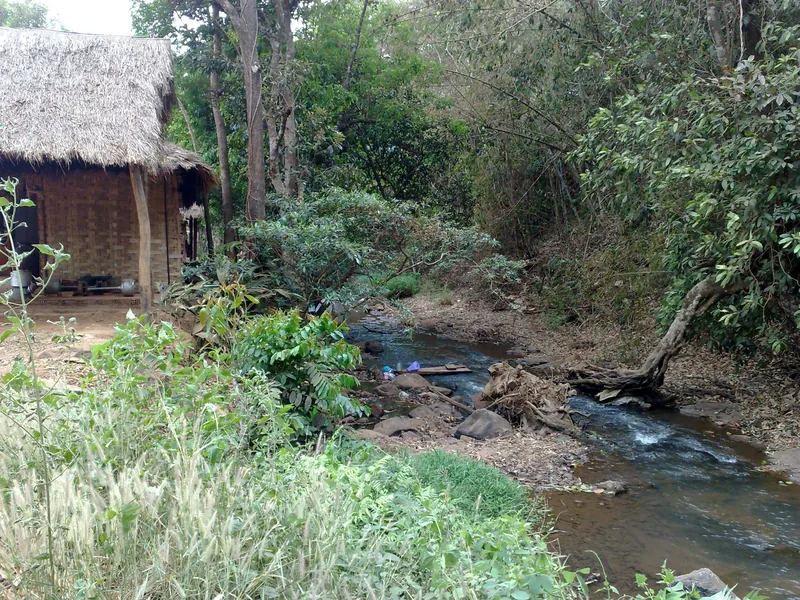 A thatched-roof hut sits beside a shallow forest stream near Sen Monorom in Mondulkiri.