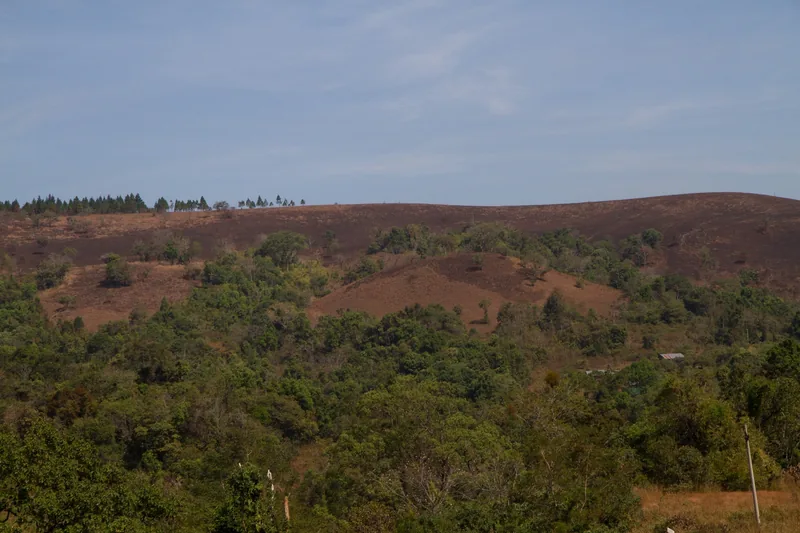 Rolling hills covered in patchy grassland and forest under a clear sky in Mondulkiri, Cambodia.