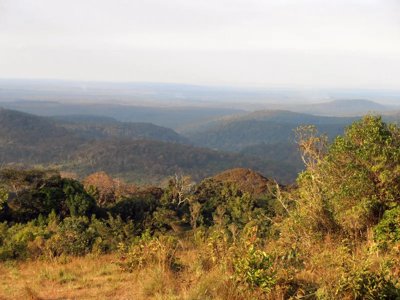 Rolling forested hills stretch to the horizon under hazy sky in Mondulkiri province.