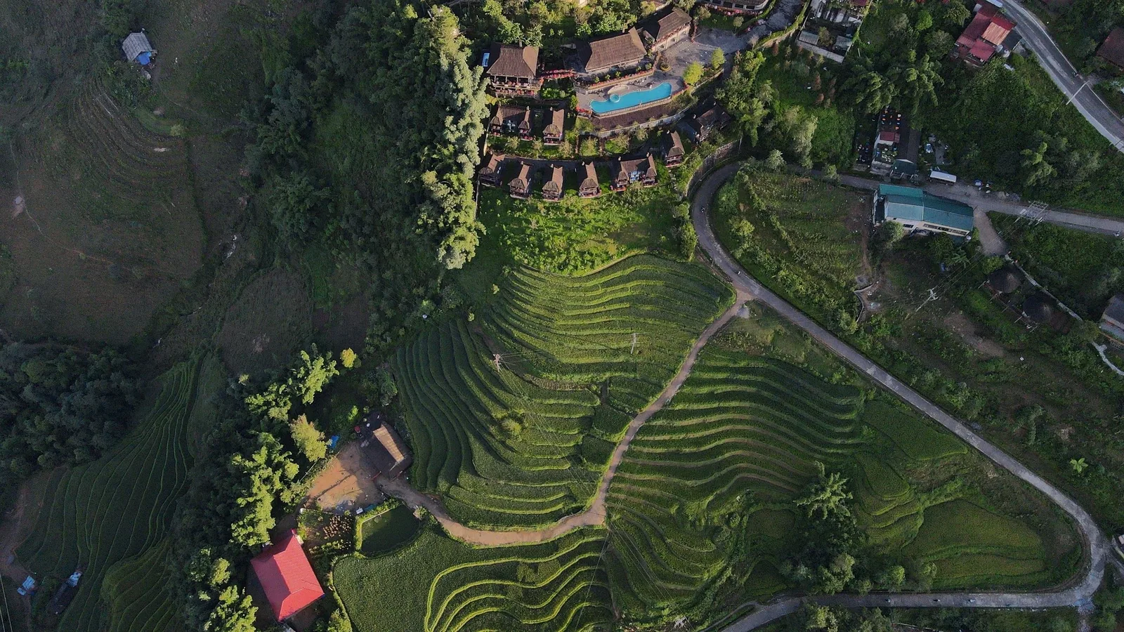 Aerial view of terraced tea fields curving beside a hillside resort with pool near Sapa, Vietnam.