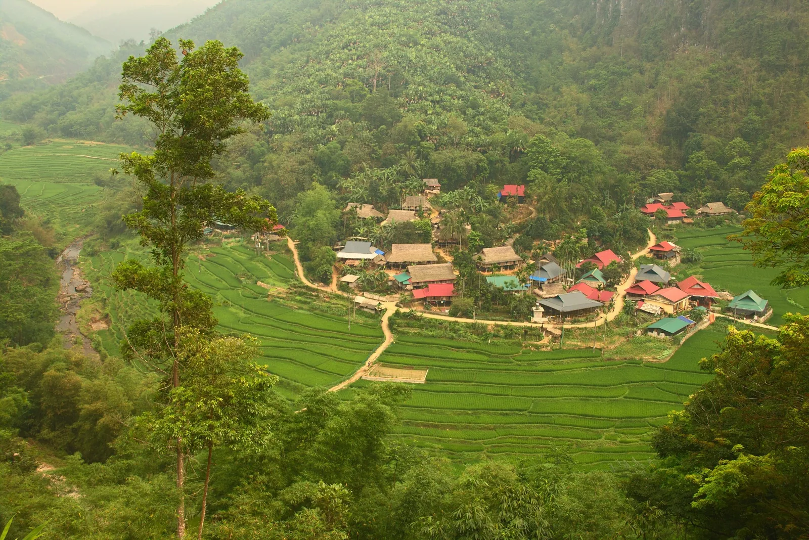 Aerial view of a village with colorful rooftops nestled among green rice terraces and forested hills in Pu Luong.