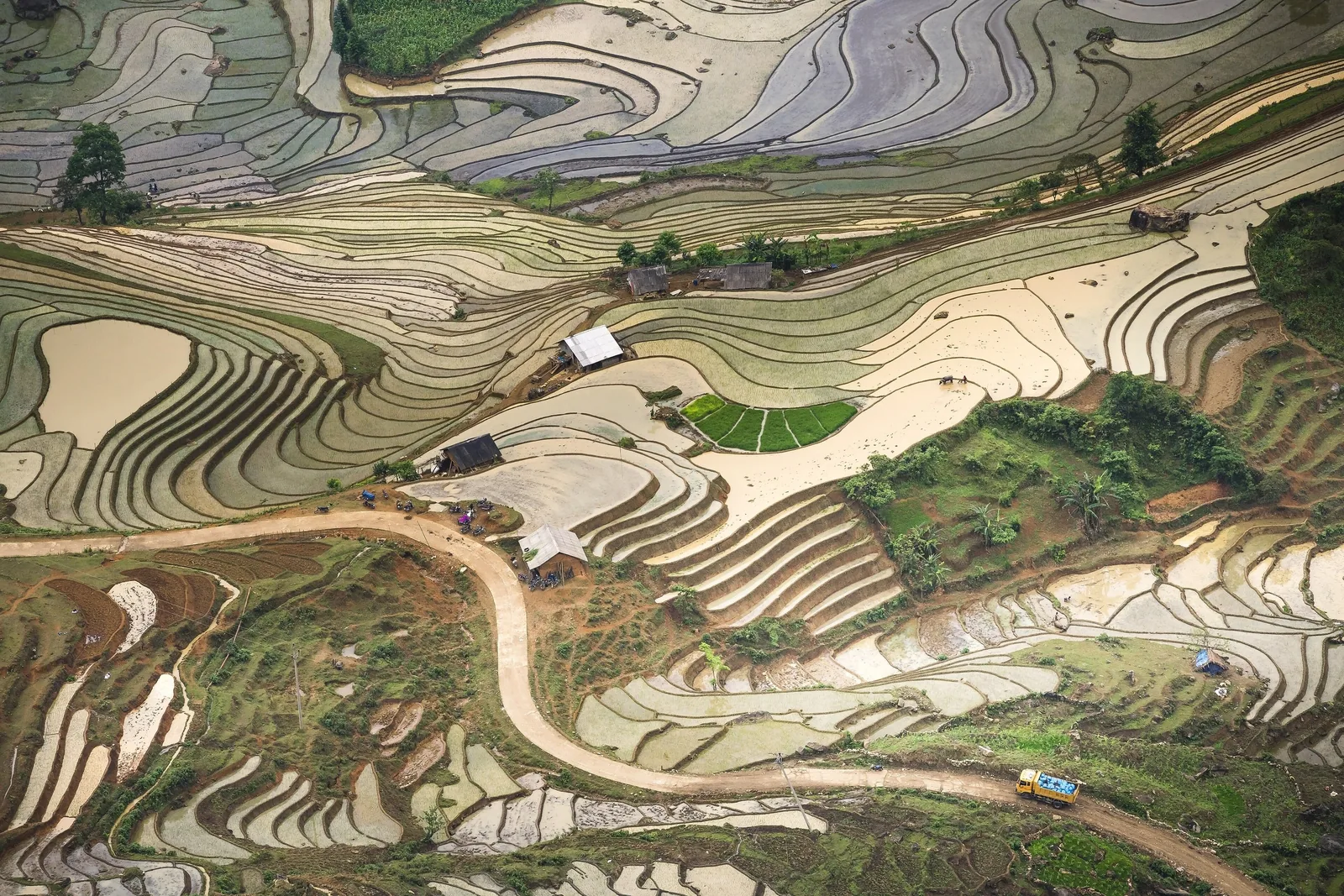 Aerial view of winding terraced rice paddies with scattered farmhouses and a dirt road near Sapa, Vietnam.
