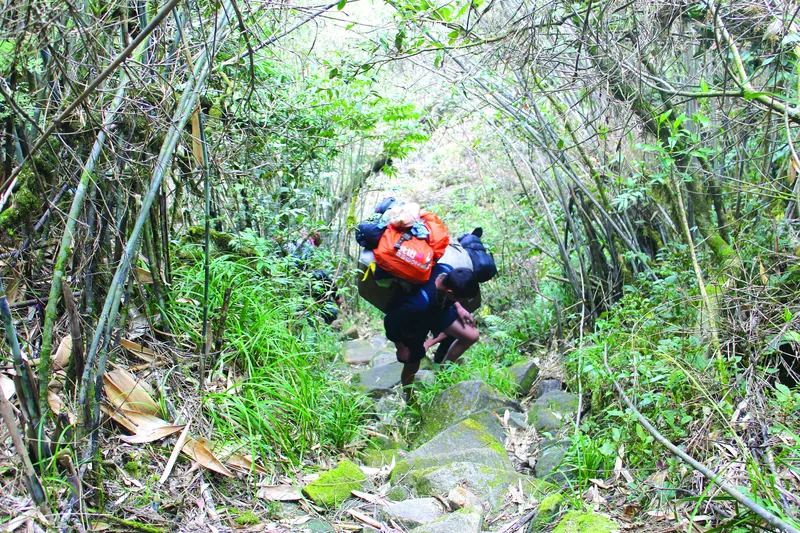 A porter carries heavy backpacks up a rocky forest trail near Y Ty in Sapa, Lao Cai.