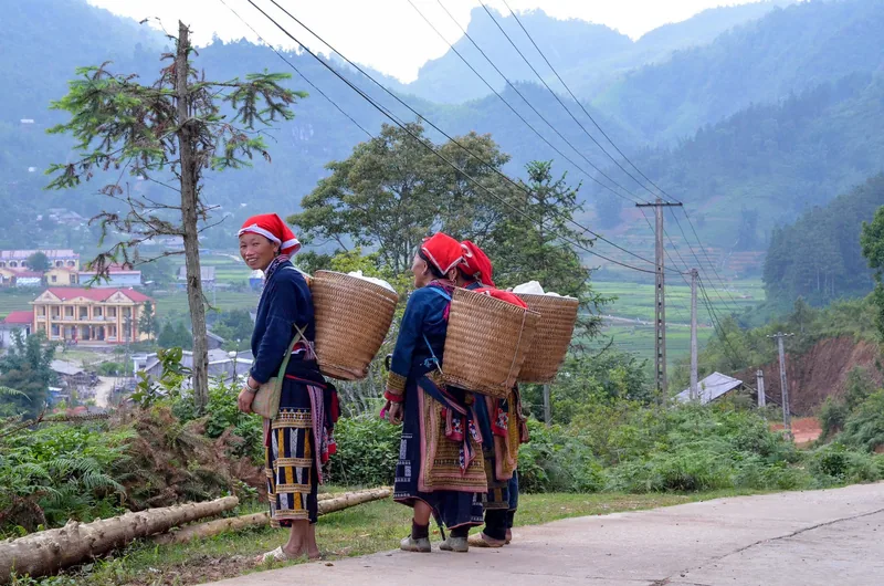 Red Dao women in traditional dress carry woven baskets along a mountain road near Sapa.
