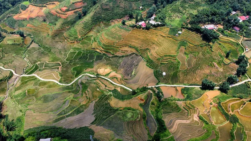 Aerial view of terraced rice fields winding along a road through a mountain valley in Sapa.
